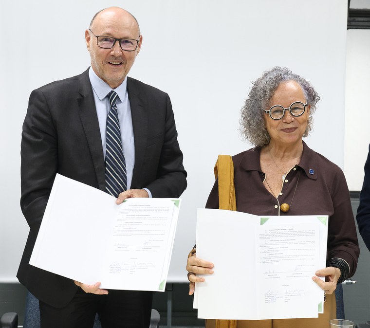 Termos de recolhimento