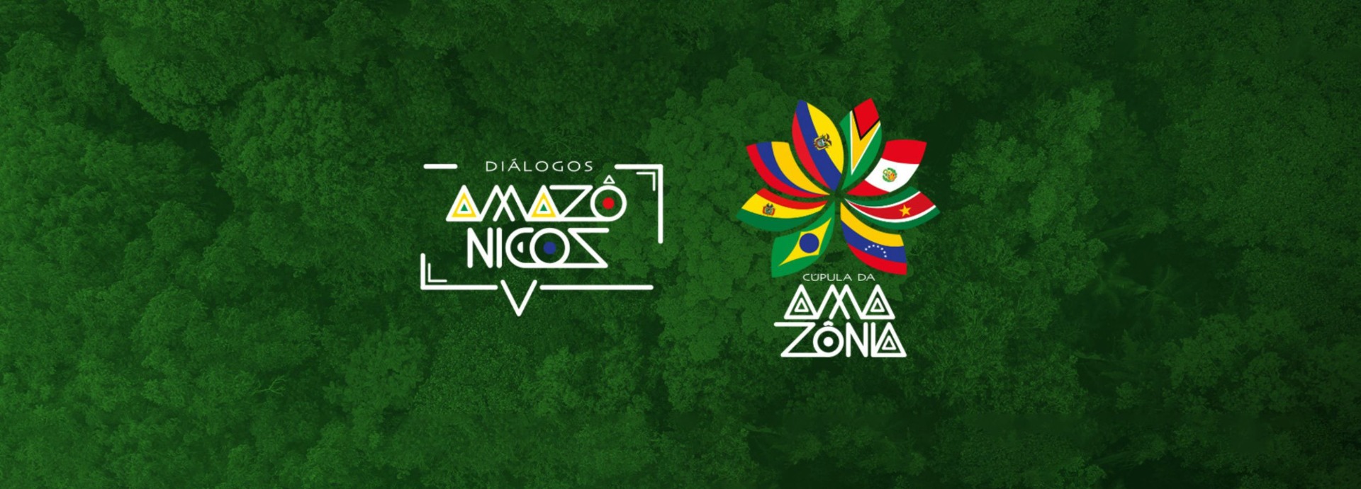 CARROSSEL SITE - CÚPULA DA AMAZÔNIA - 2500x900.jpg