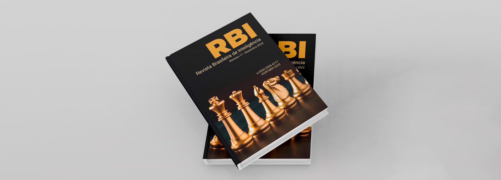 RBI 17 - Imagem site 2500x900.jpg