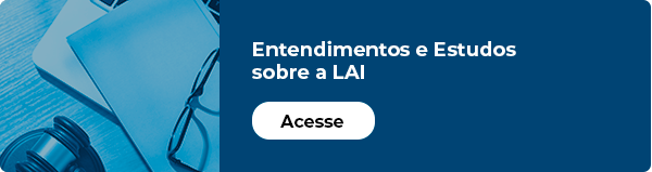 Entendimentos e Estudos sobre a LAI
