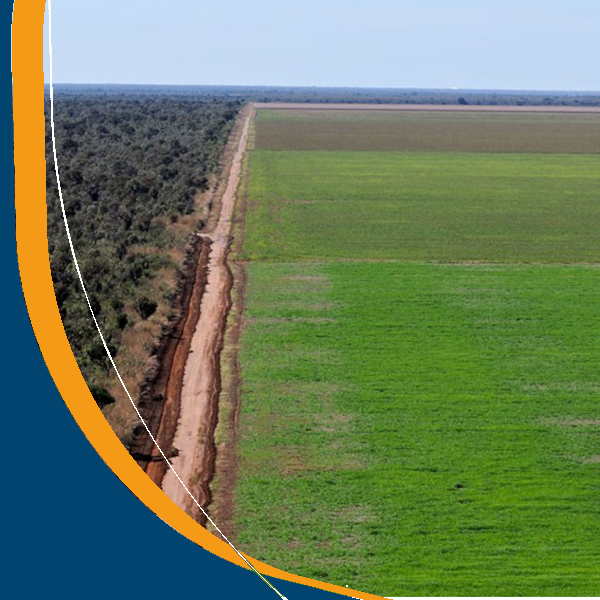 Meio Ambiente e Mudanças Climáticas