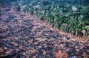 desmatamento_sao_felix_do_xingu_2013.jpg