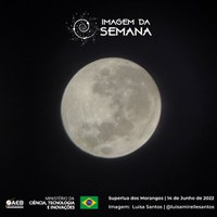 Imagem da Semana: Luísa Santos