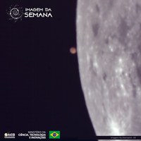 Imagem da Semana: Rui Romanini