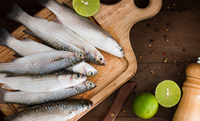 Brazil gains market access for fish exports to Australia