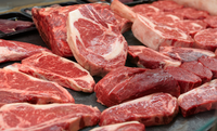 Market access for Brazilian beef exports to Bosnia and Herzegovina