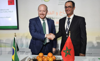 Morocco strengthens trade relations with Brazil following Ministry of Agriculture and Livestock mission