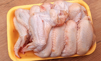 New approvals have been granted for Brazilian poultry plants to export halal chicken meat to Malaysia