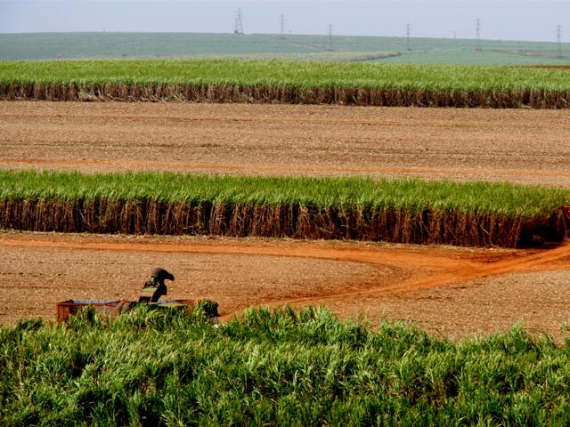 açúcar e alcool.jpg