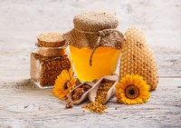 Mel e Produtos Apícolas