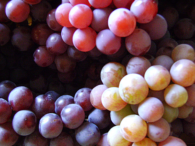 Uvas.jpg