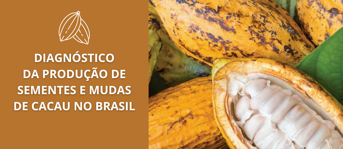 DIAGNÓSTICO DA PRODUÇÃO DE SEMENTES E MUDAS DE CACAU NO BRASIL.png