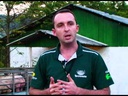 Bem-estar suíno no manejo pré-abate - Dia de Campo na TV