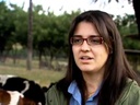 Produtores começam a adotar práticas que evitam o sofrimento dos animais