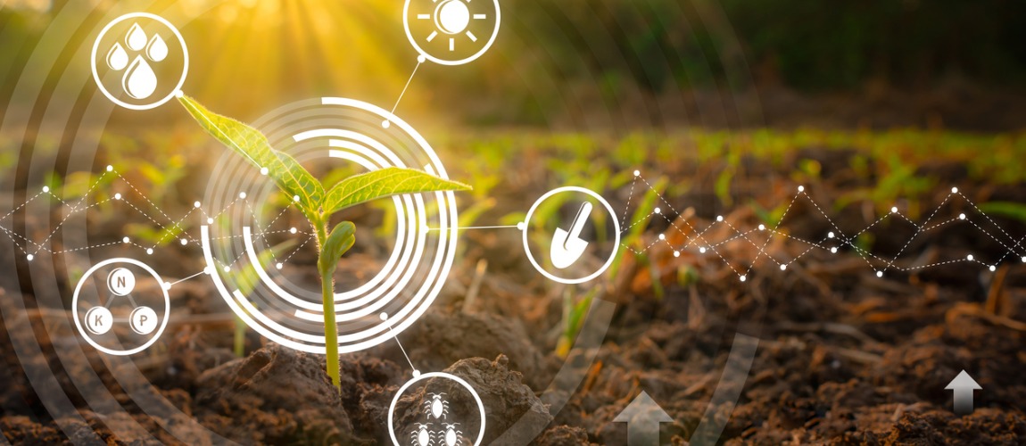 Confira aqui todas as novidades sobre sementes e mudas