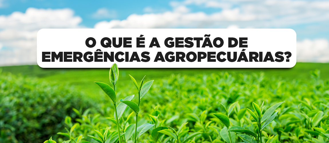 Gestão de emergências agropecuárias