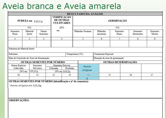 Aveia