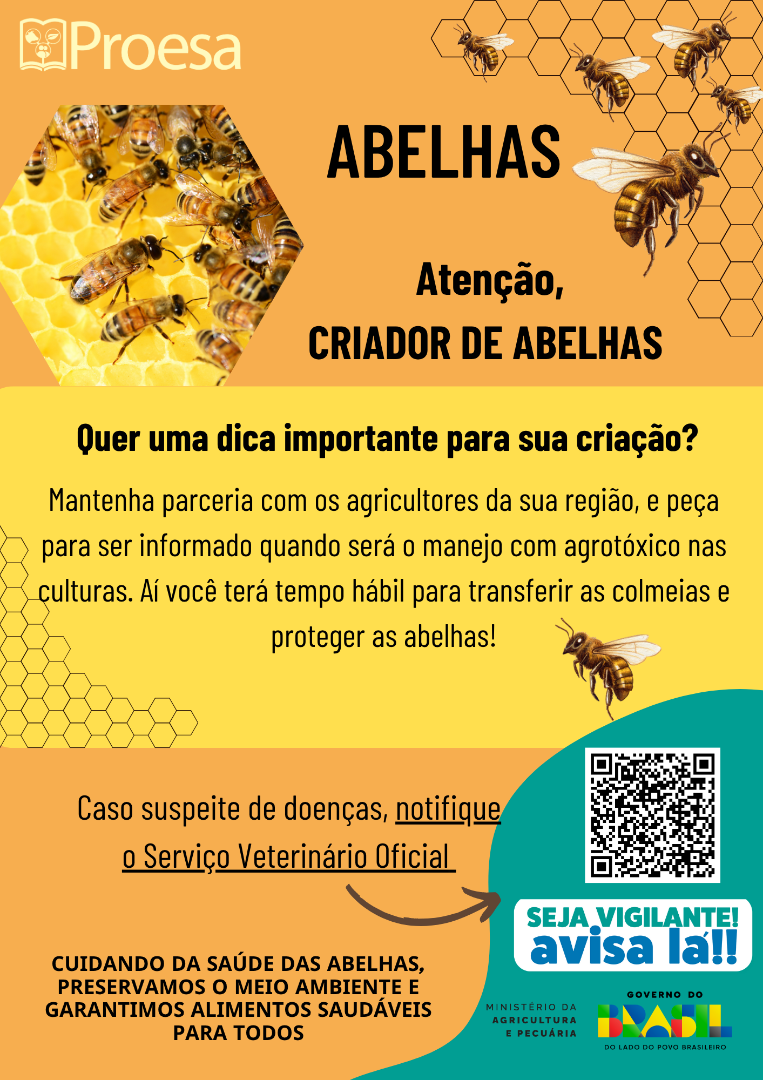 ABELHAS 1.png