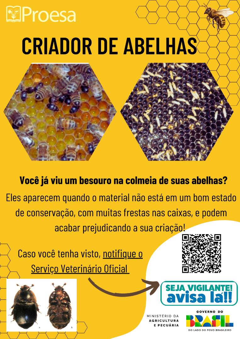 ABELHAS 4.png