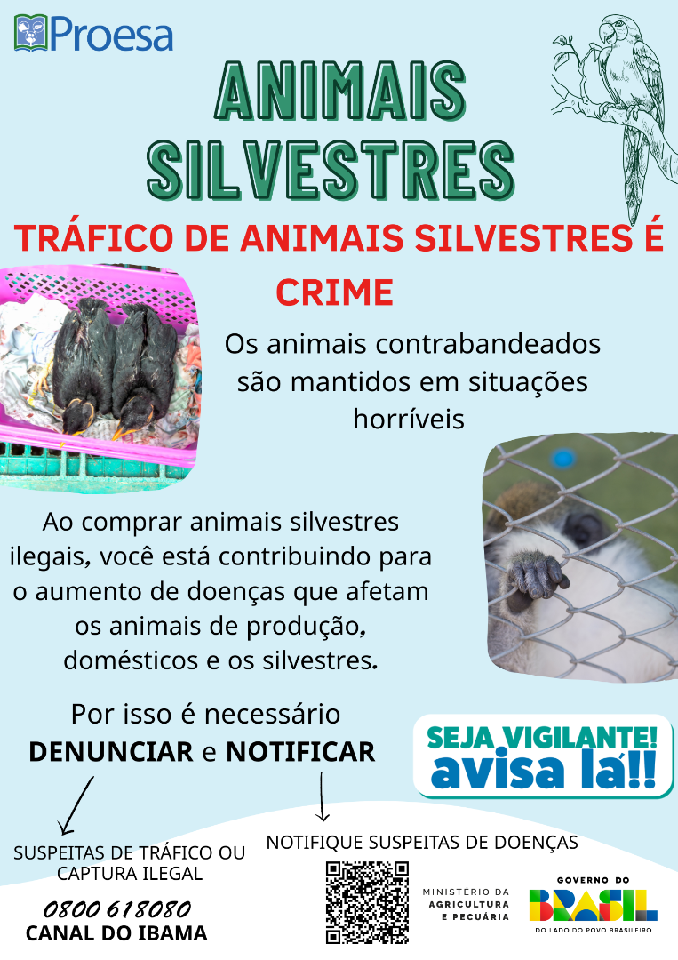 ANIMAIS SILVESTRES 1.png