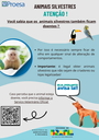 ANIMAIS SILVESTRES 2.png
