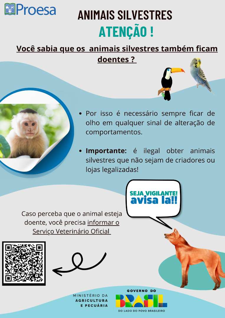 ANIMAIS SILVESTRES 2.png