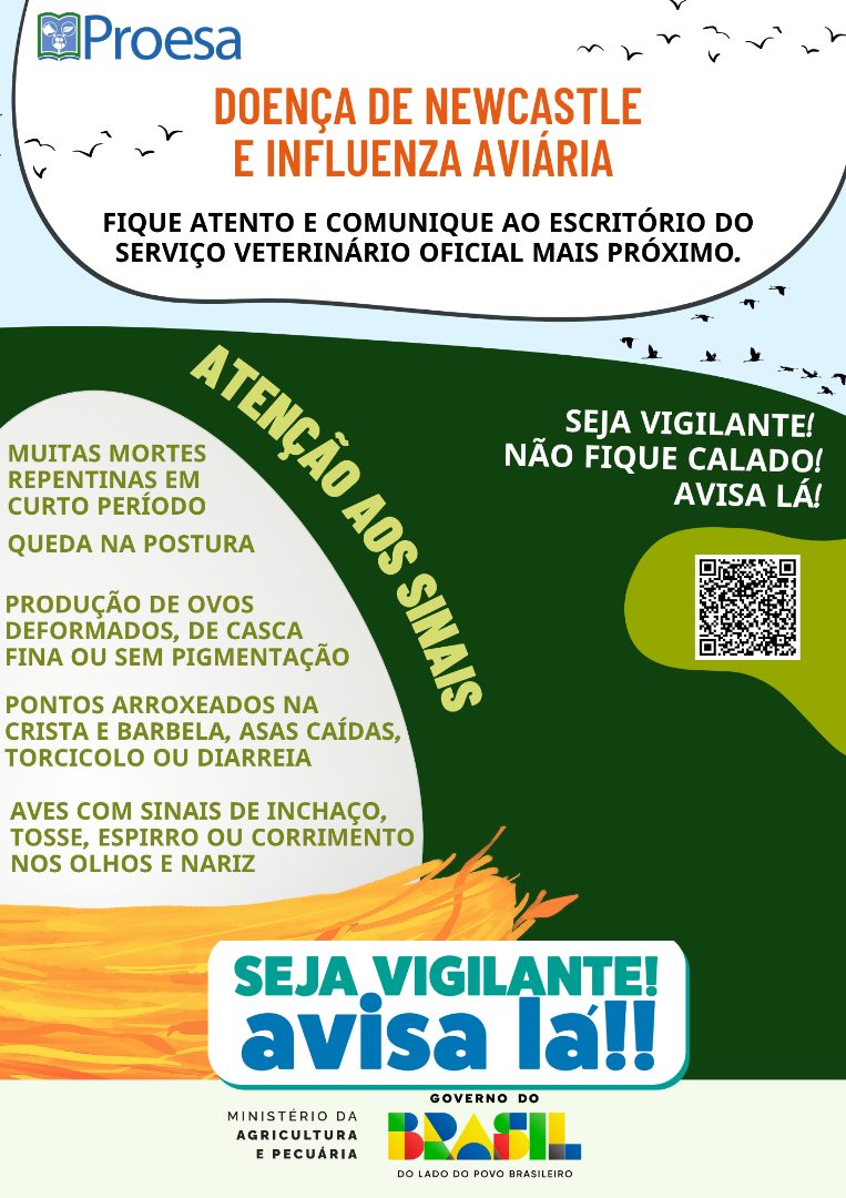 INFLUENZA AVIÁRIA E NEWCASTLE.png