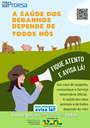 NOTIFICAÇÃO 2.png