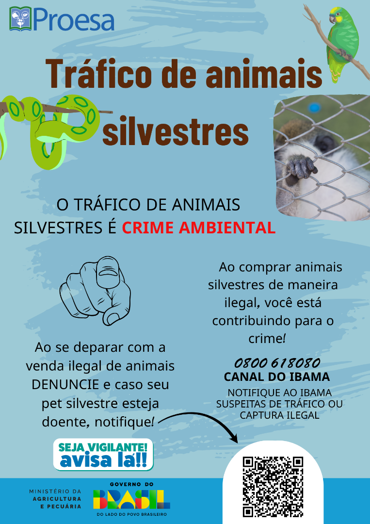 TRÁFICO ANIMAIS SILVESTRES.png
