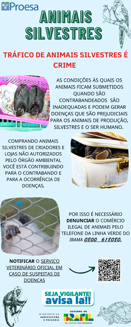 ANIMAIS SILVESTRES 1.png