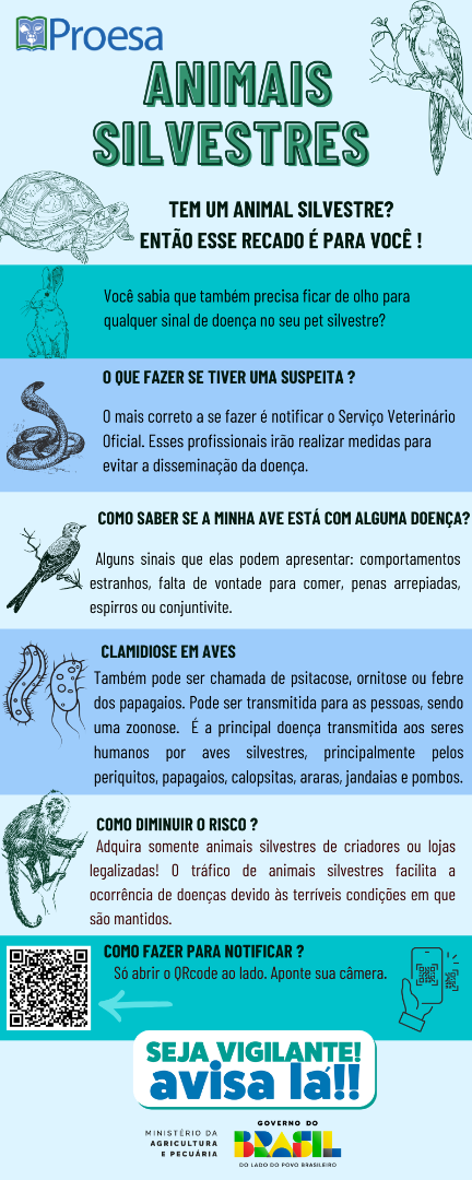 ANIMAIS SILVESTRES 2.png