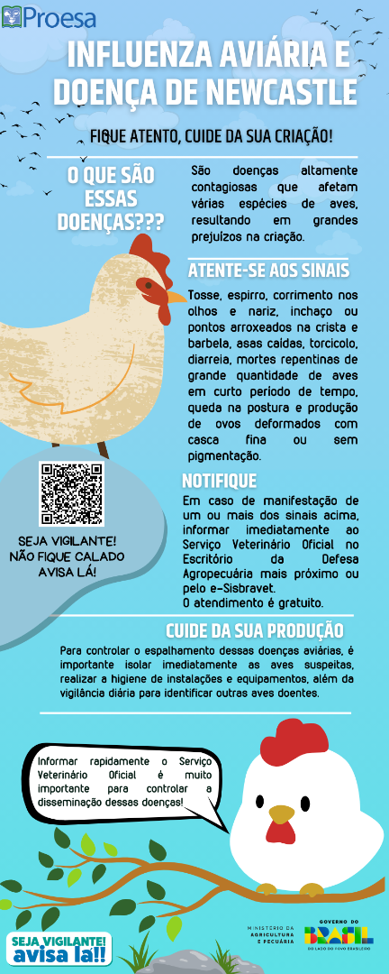 INFLUENZA E NEWCASTLE 1.png