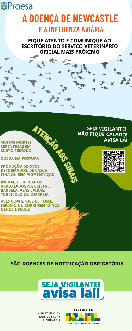 INFLUENZA E NEWCASTLE 2.png