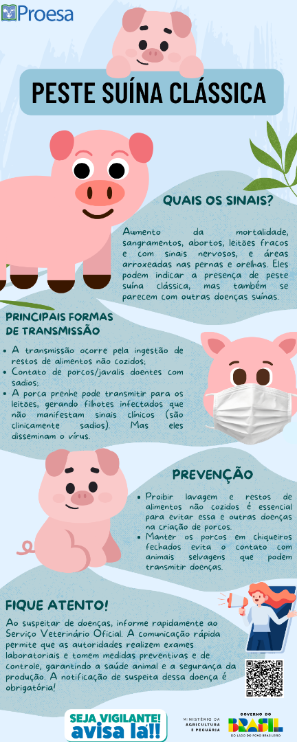 PESTE SUÍNA CLÁSSICA 2.png