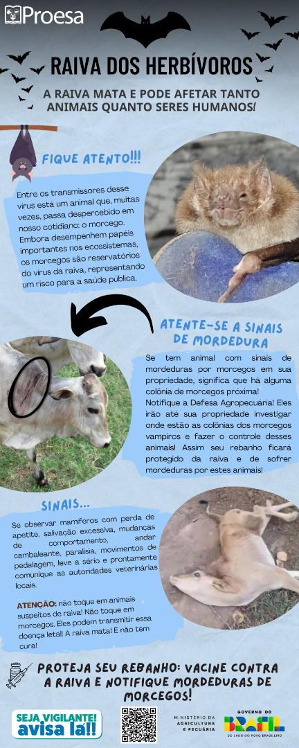 RAIVA HERBÍVOROS 2.png