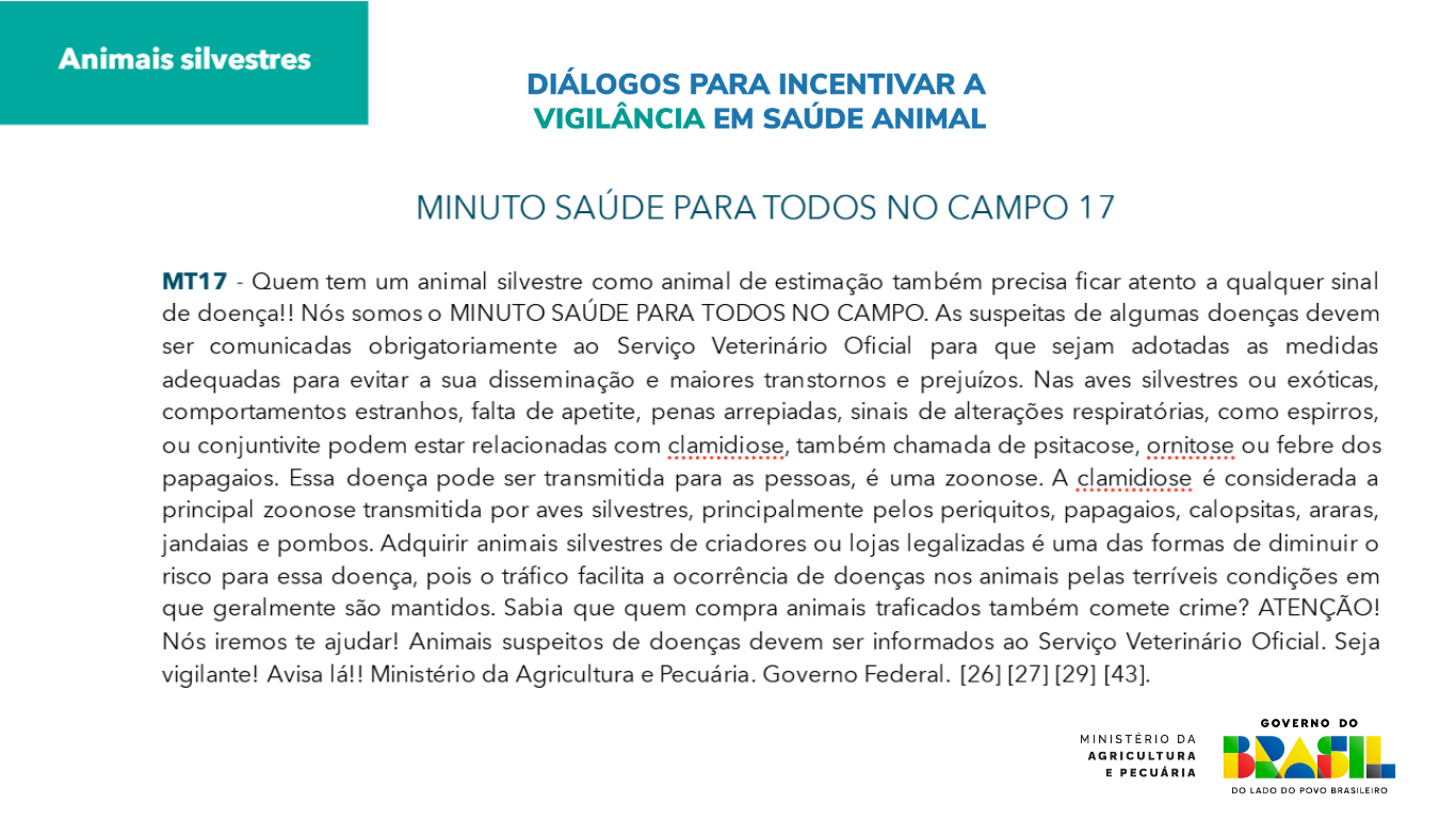 MT17. Animais silvestres.png