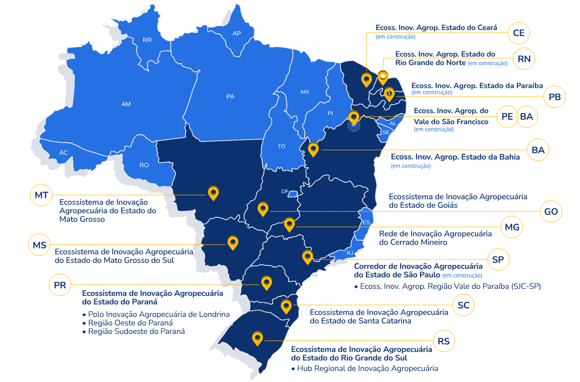Brasil_Azul_New_Set.2023.jpg