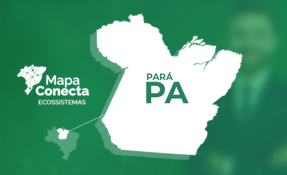 Header_Capa Destaque PARÁ - PA.png