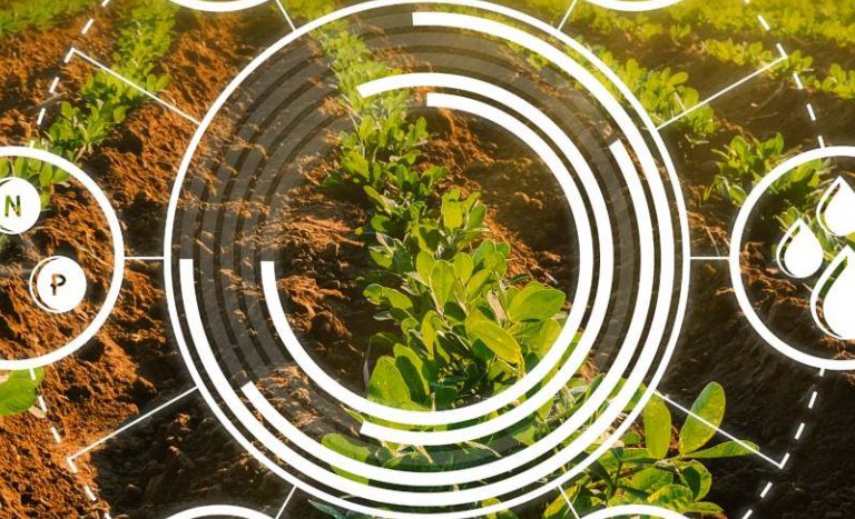 Imagem Principal Exemplo