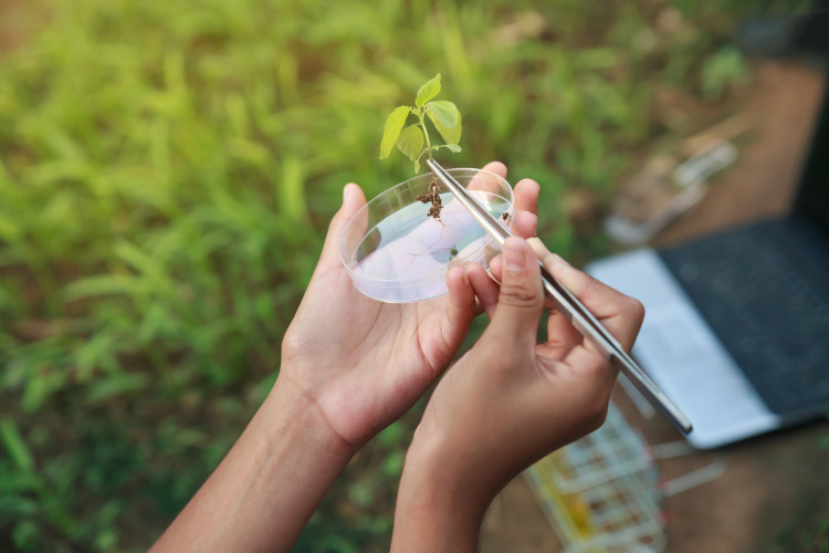 farmer-researching-growth-of-plant-in-greenhouse-agriculture-concept-picture-id804201756.jpg