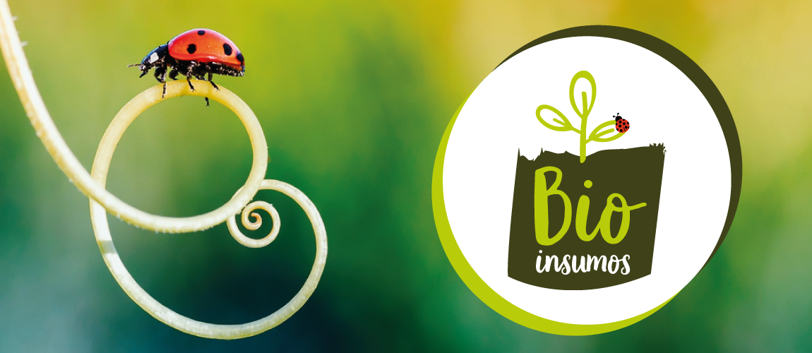 Capa_Bioinsumos.png