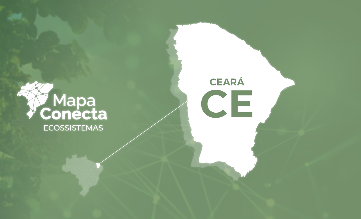 Header_Ceara_CE.png