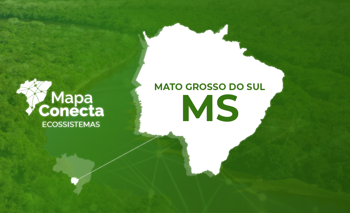 Header_MatroGrossoDoSul.png