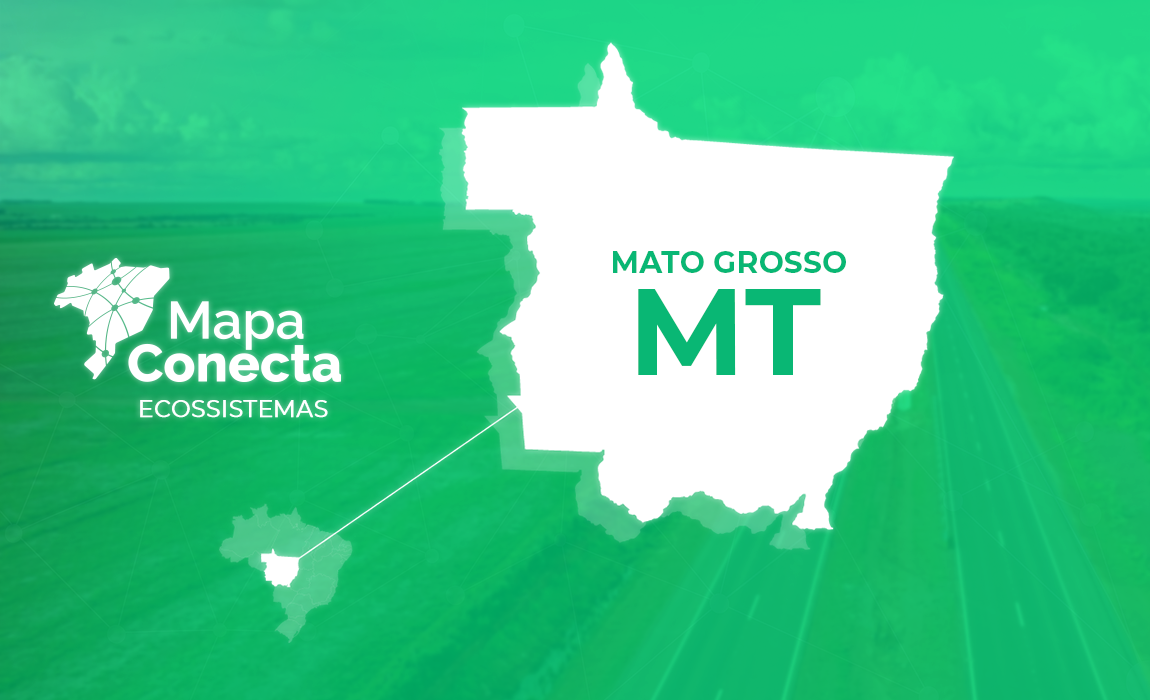 Header_MtoGrosso-MT.png