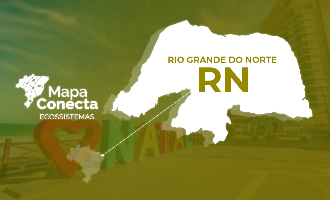 Header_RN.png