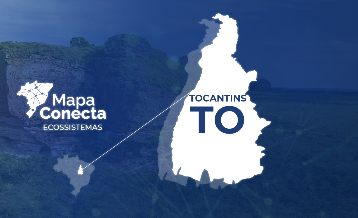 Header_Tocantins-TO.png