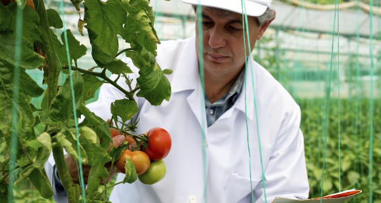 Produtos de Origem Vegetal