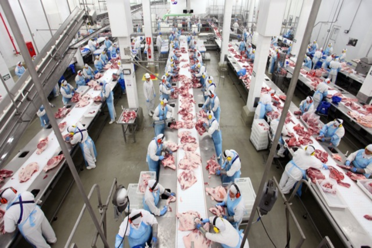 Registro de estabelecimento