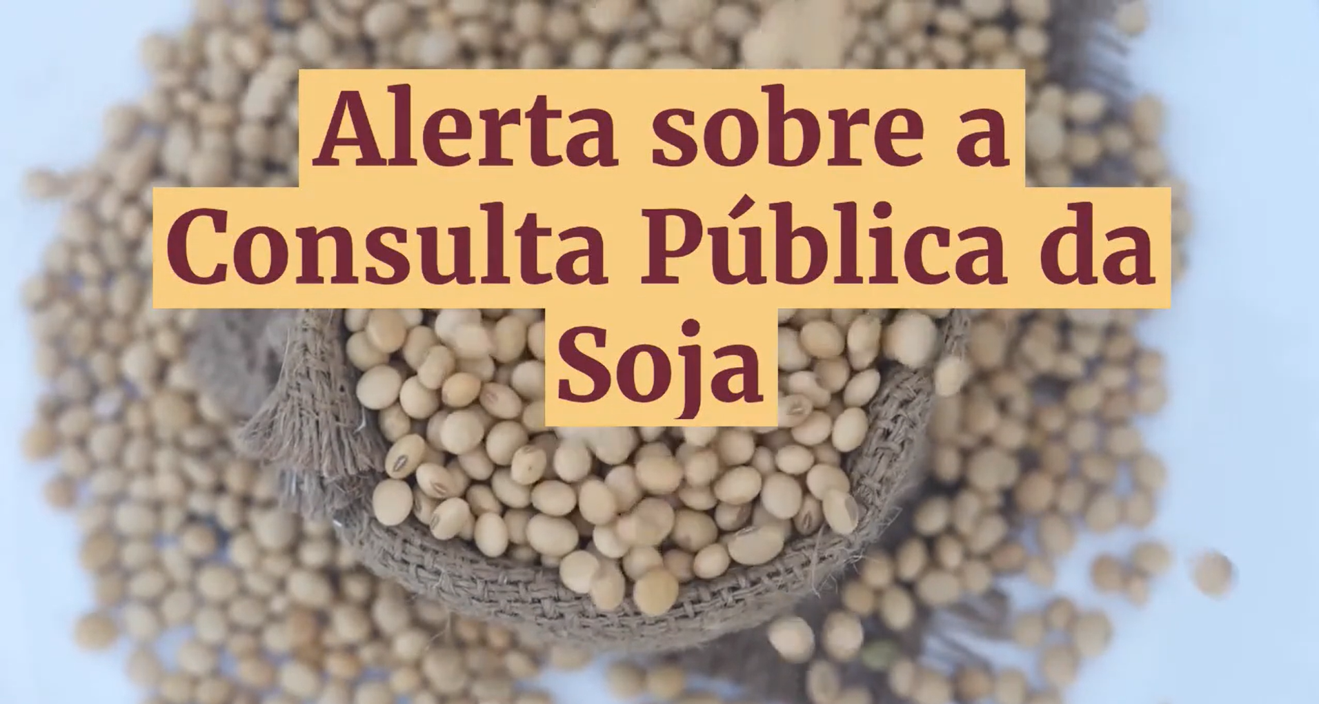 AlertaConsultaPúblicaSoja