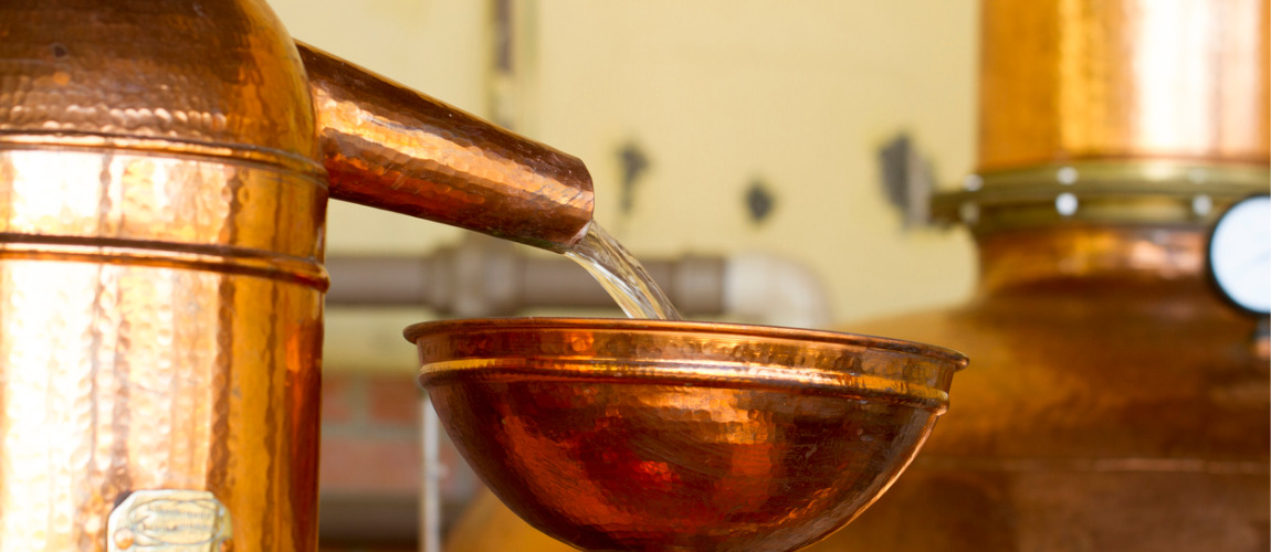 Inspeção de Produtos de Origem Vegetal - Dipov